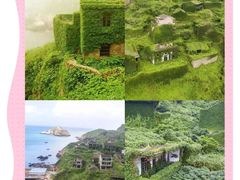 -枸杞岛