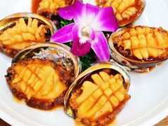 红烧鲍鱼-渔家乐小海鲜(皇姑店)