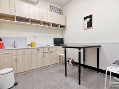 -凯特喵百思猫专科医院
