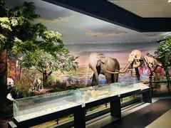 -湖南省地质博物馆