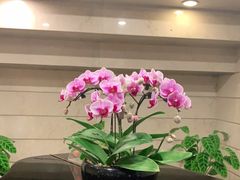 -上海国际饭店