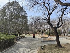 -玲珑塔公园