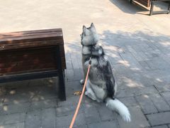 -新东方·考研·四六级·专转本(全民校区)