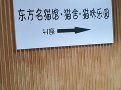 -东方名猫馆·英短金渐层布偶猫舍(环线广场1号楼店)