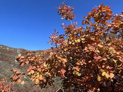 -周口店坡峰岭风景区