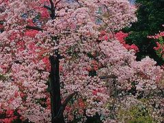 -华南师范大学(广州大学城校区)