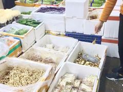 -深圳市海吉星国际农产品物流管理有限公司