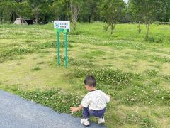 -两河城市森林公园