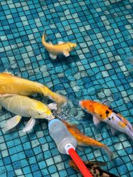 -酷嗒动物文化乐园(cutezoo西溪乐天城店)