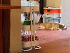 -About Bistro關於·泰式家庭料理