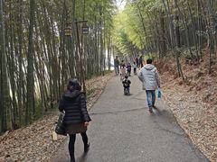 -苏州环秀晓筑养生度假村