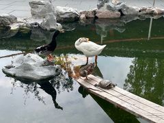 -龙华寺