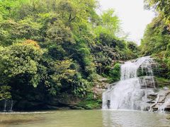 -碧峰峡风景区