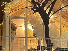 -春树下·树屋花房西餐厅(罍街AS1980店)