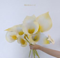 -金禧婚礼定制