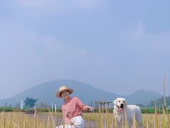 -风云岭森林公园