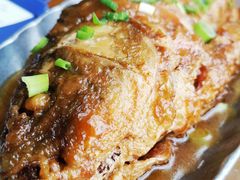 黄焖大鲤鱼-95号酱骨·一块豆腐(展春园西路店)
