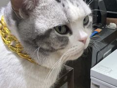 -百金通黄金回收首饰定制维修(珠江路总部)