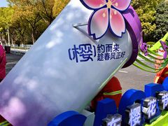 -高东镇樱花园