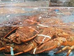 -龙宴海鲜城(经中路店)