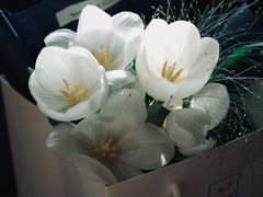-Native Flower 莱提花艺(南海新天地广场店)