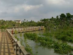 -东寨港红树林旅游区