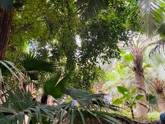-呀路古热带植物园-恐龙馆