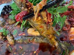 -胖大姐黄辣丁鱼庄(新津店)