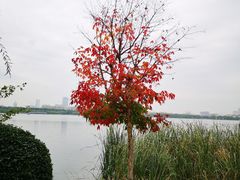 -长春市南湖公园