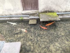 -前童古镇