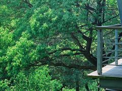 -西湖风景区-江洋畈生态公园