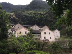 -雁南飞茶田景区