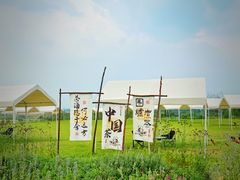 -空港花田景区