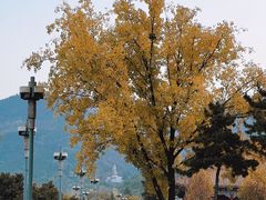 -终南山古楼观历史文化景区