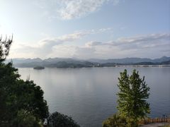 -浔味·山屿湖·正宗淳牌全鱼宴老字号