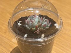 -星巴克(天水秦州万达广场门店)