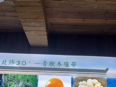 -徽三说·土徽菜·中国徽菜连锁品牌(一中店)