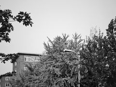 -辽宁大学(崇山校区)