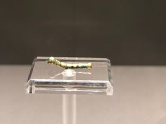 -上海观复博物馆
