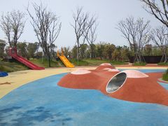 -春花秋色城市公园