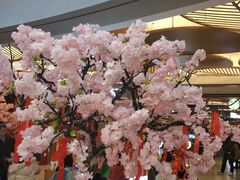 -茶马花街(城西银泰城店)