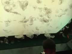 -沈阳海洋探索中心