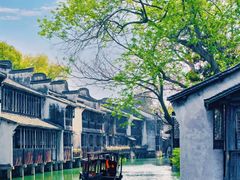 -乌镇景区