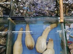 -明记海鲜大排档(巽寮湾店)