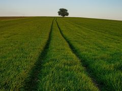 -1886德国汽车餐厅(外滩中央店)