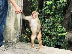 -黔灵山公园