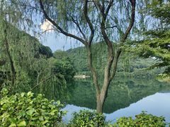 -桃花岭景区