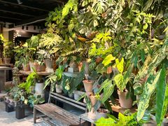 -自由生长植物工作室(深港花卉中心店)
