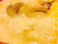 -鲜入围煮花胶鸡海鲜火锅