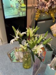 -静博士·养生养颜